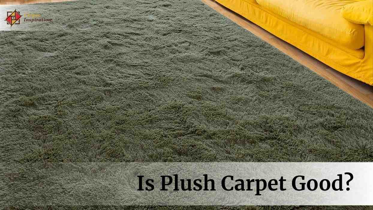 Is Plush Carpet Good