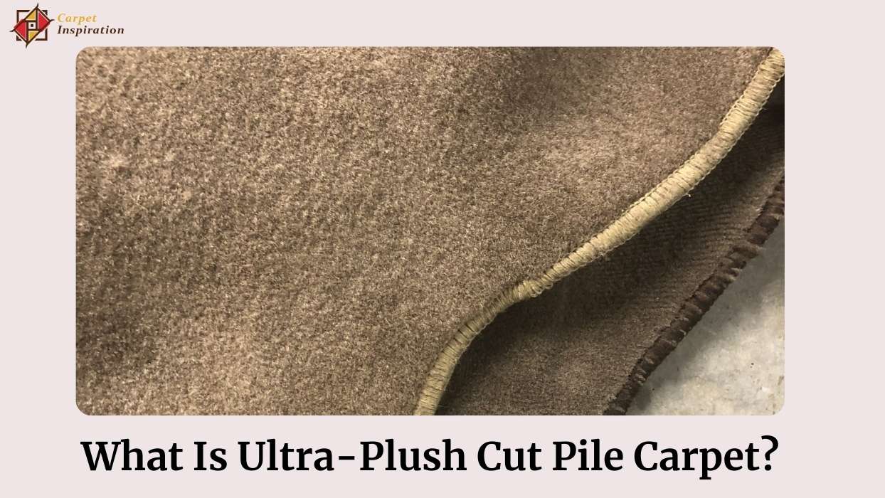 What Is Ultra-Plush Cut Pile Carpet