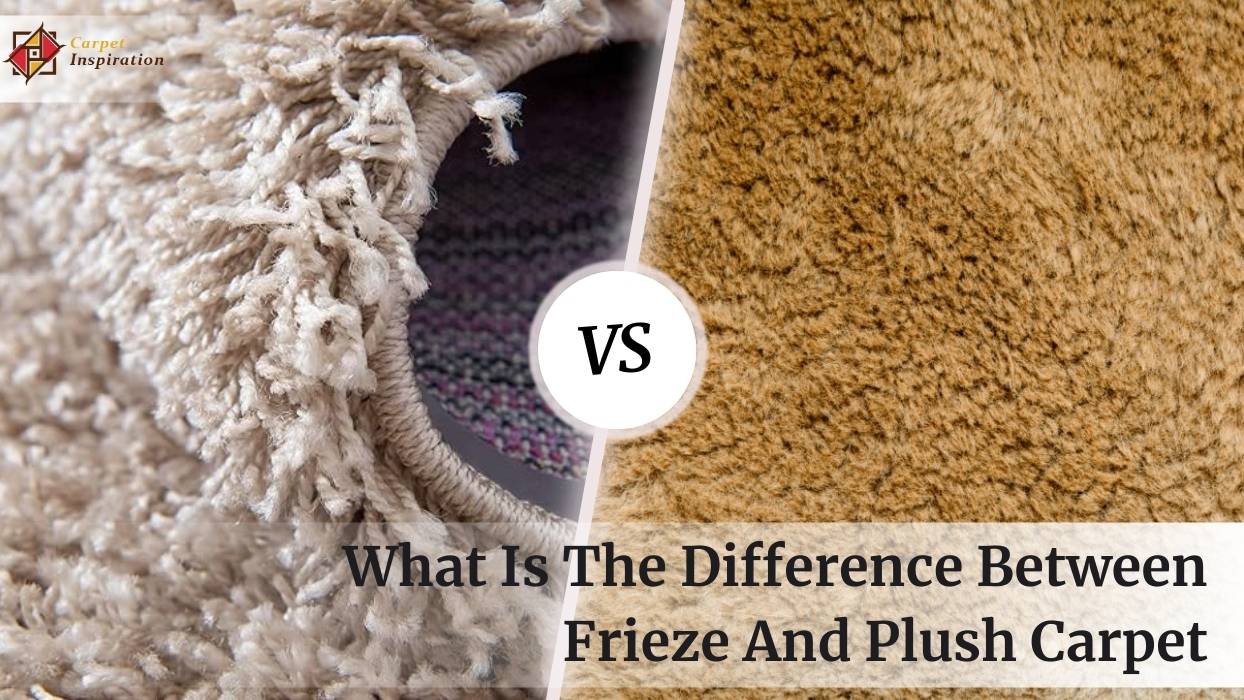 What Is The Difference Between Frieze And Plush Carpet