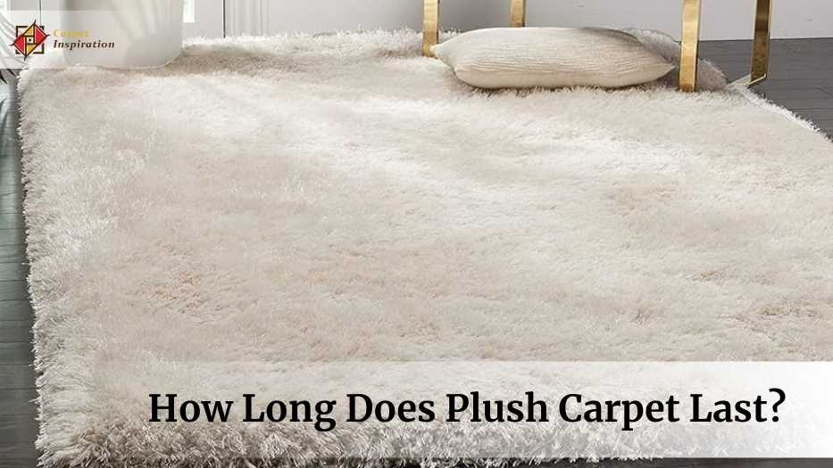 How Long Does Plush Carpet Last