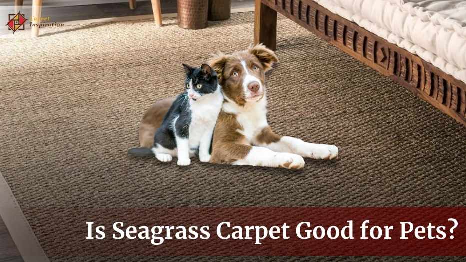 Is Seagrass Carpet Good for Pets? 4 Pros To Gain In The Near Future!