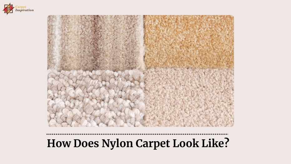 How Does Nylon Carpet Look Like