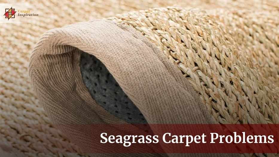 7 Most Common Seagrass Carpet Problems With Solutions! Ready For Your Rescue