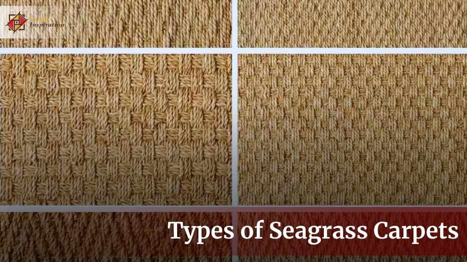 5 Common Types of Seagrass Carpets – 5 Types Define the Differ!