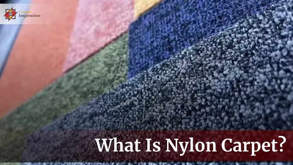 What Is Nylon Carpet