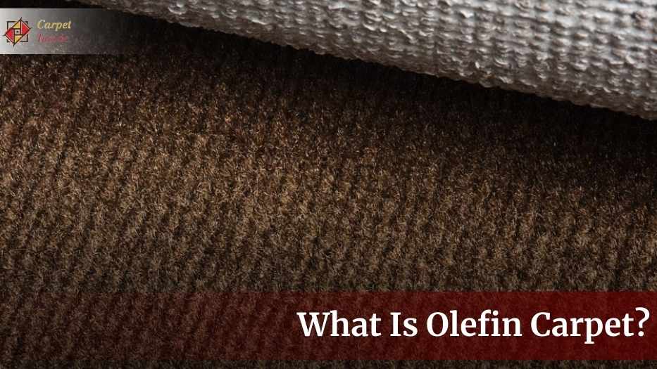 What Is Olefin Carpet