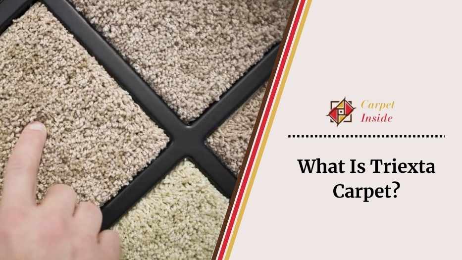 About Triexta Carpet