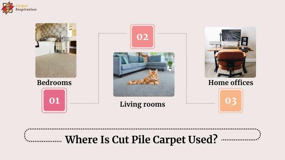 Best place to use a Cut Pile Carpet