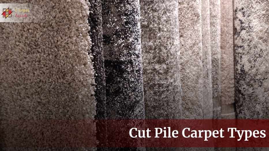 How Many Cut Pile Carpet Types Can I Find? Let’s find Out!