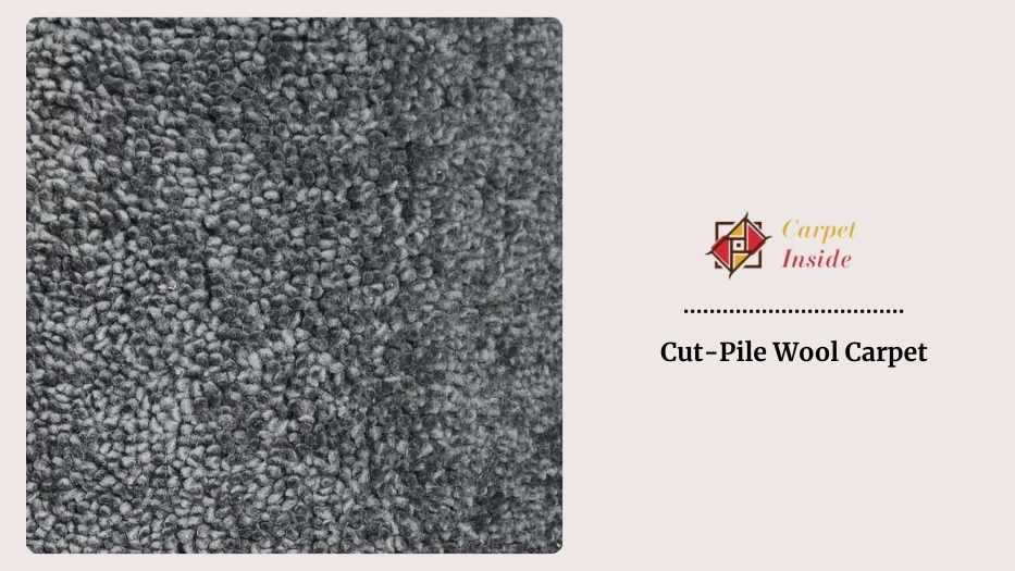 Cut-Pile Wool Carpet