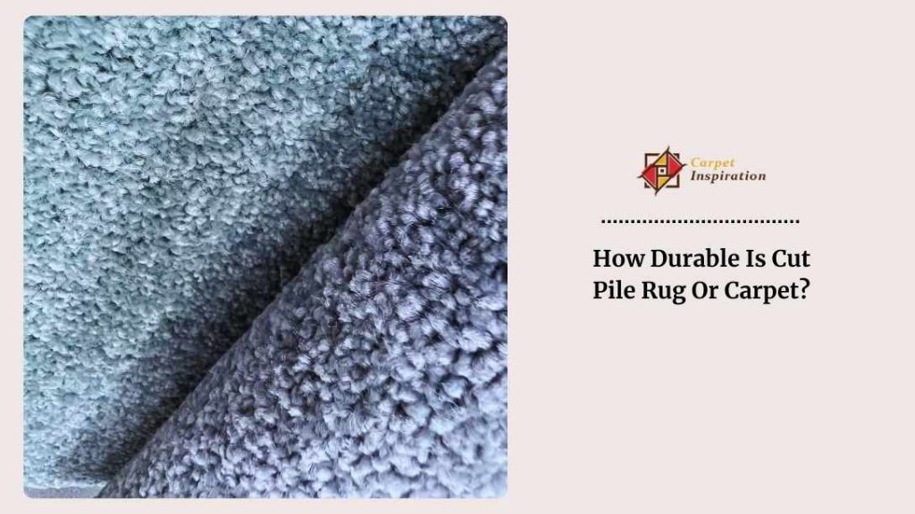 How Durable Is Cut Pile Rug Or Carpet