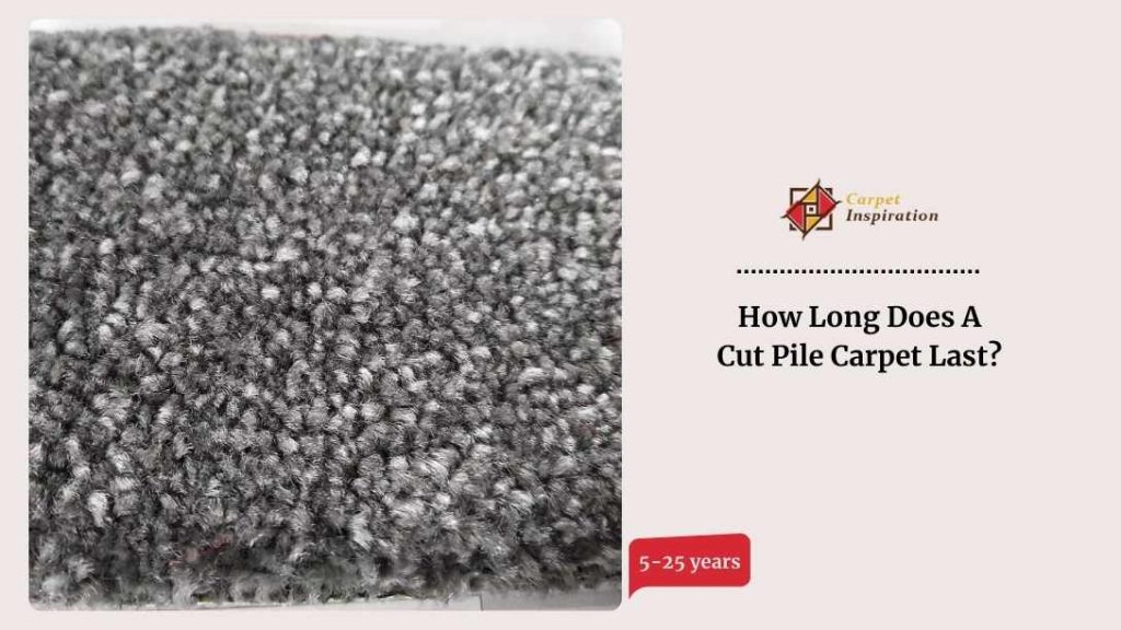 How Long Does A Cut Pile Carpet Last