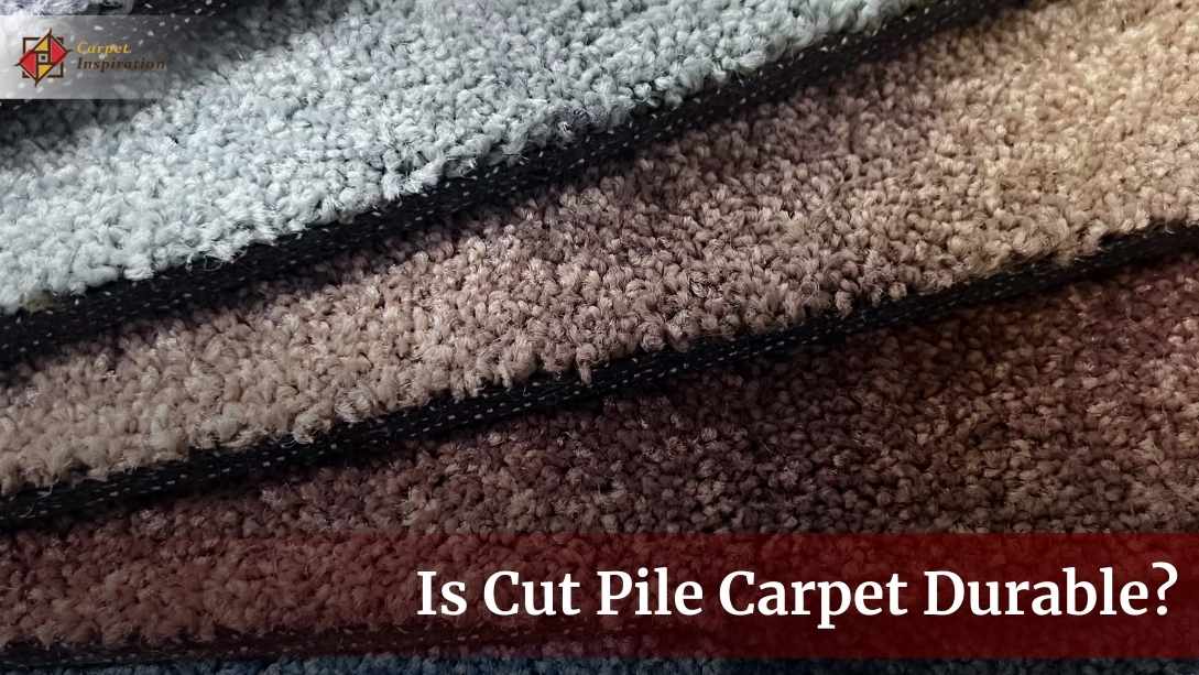 Is Cut Pile Carpet Durable? A Deep Dive Into Its Longevity