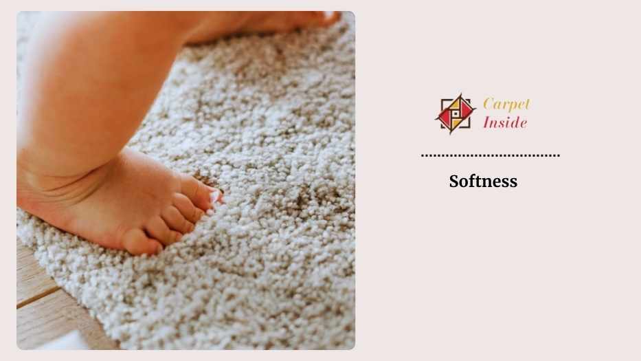 Softness Triexta Carpet