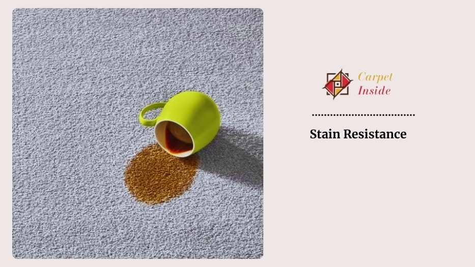 Stain Resistance Triexta Carpet