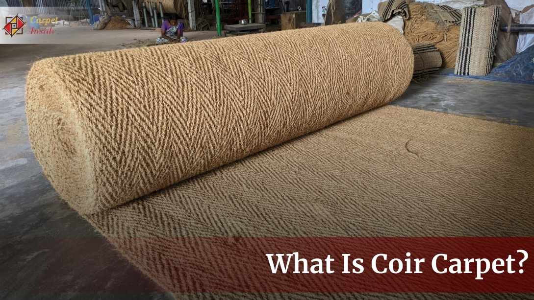 What Is Coir Carpet? All In The Guide Of This Eco-Friendly Flooring Solutions