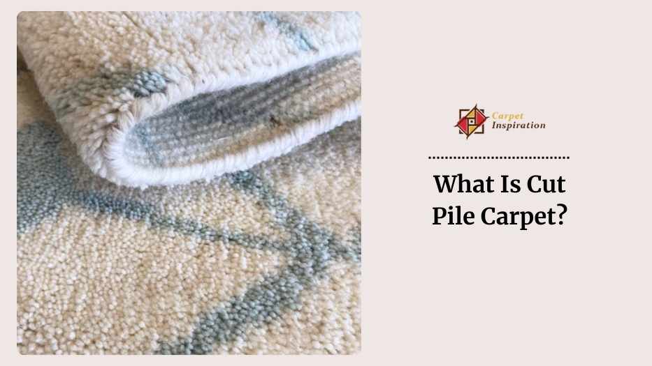 What Is Cut Pile Carpet