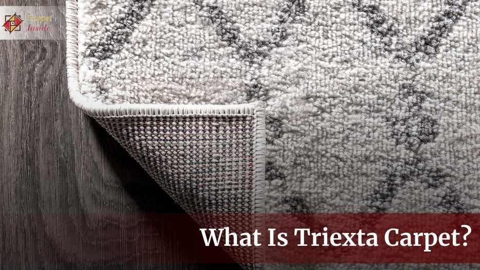 What Is Triexta Carpet