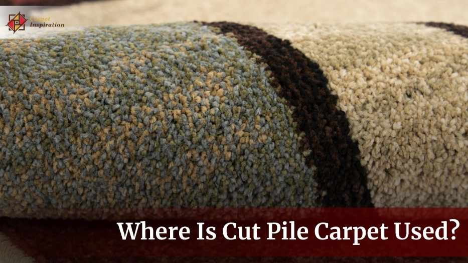 Where Is Cut Pile Carpet Used? Exploring Ideal Spaces