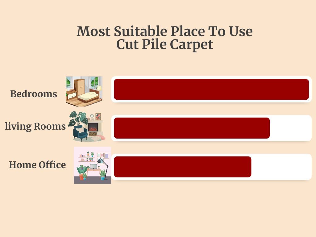 Most Suitable Place To Use Cut Pile Carpet