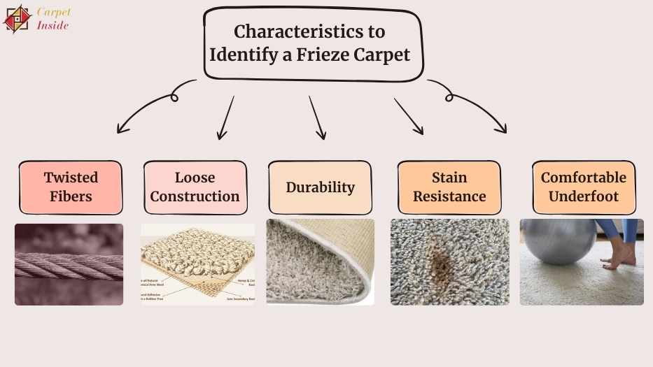 Characteristics to Identify a Frieze Carpet