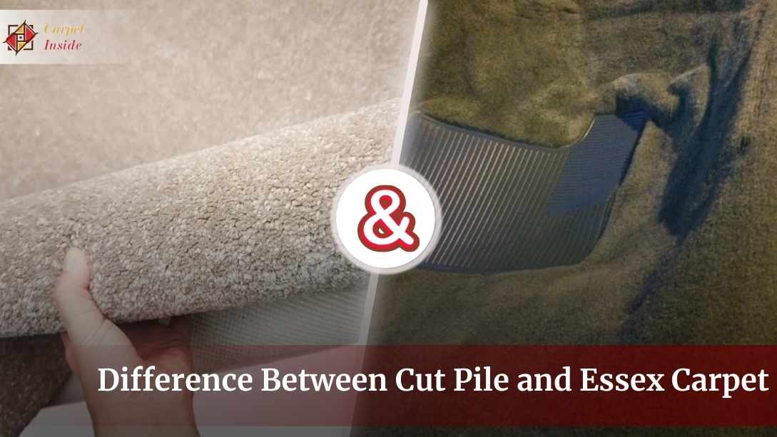 Difference between cut pile and Essex carpet [4 Features Says It All]