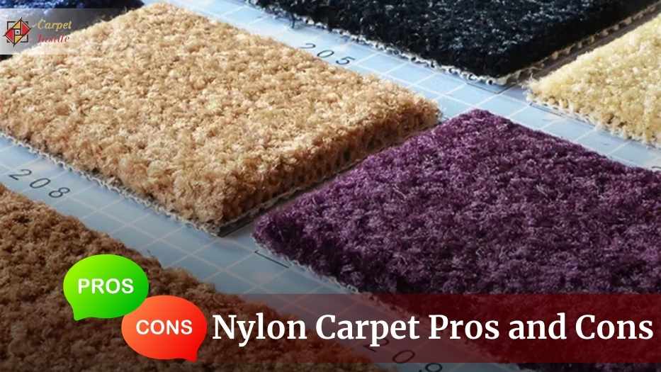 Nylon Carpet Pros and Cons: Your Ultimate for 2024!