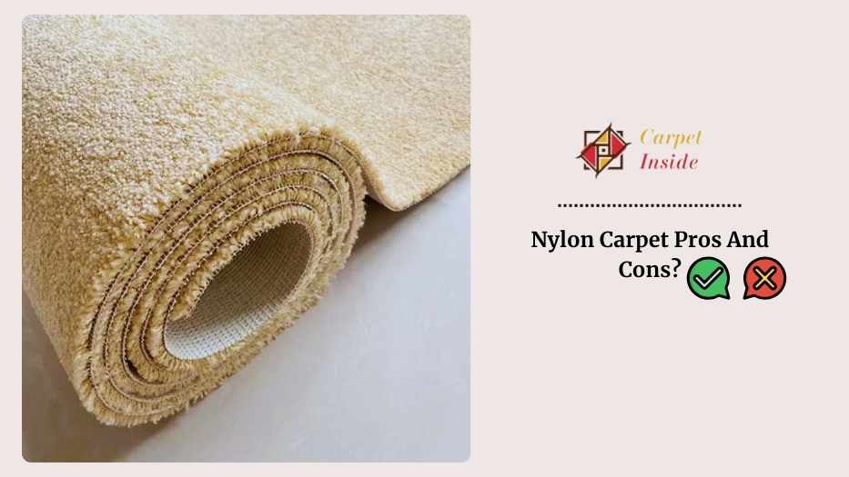 Pros and cons of Nylon Carpet