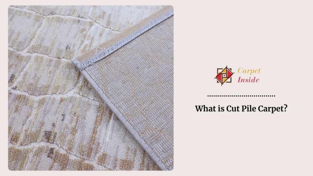 What is Cut Pile Carpet