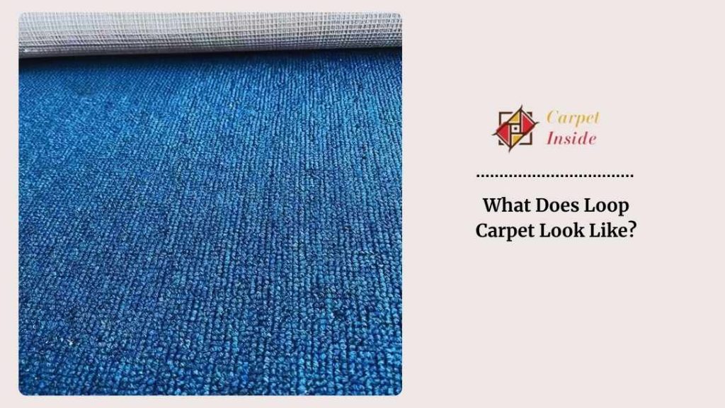 What Does Loop Carpet Look Like